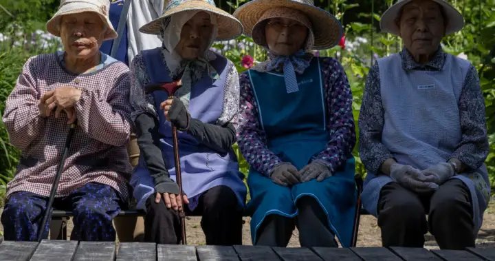 Japan is now home to more than 100,000 people aged 100 or older – nationwide

 G trends