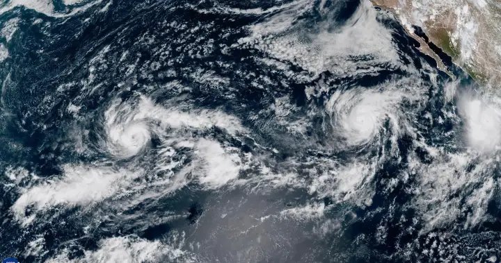 Hurricane Polo: The Mexican state of Baja California prepares for life-threatening floods – National

 G trends
