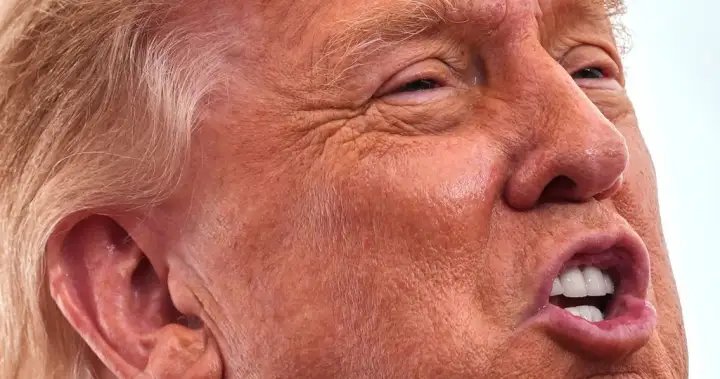 Trump Says Canada ‘Wants to Make Deal Very Badly’ – National

 G trends