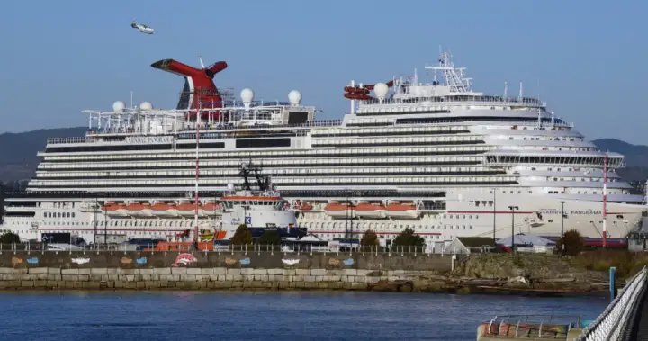 A Carnival Cruise passenger jumps off the ship bound for California-National

 G trends