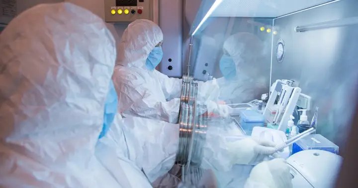 The World Health Organization says Russia has informed it of “no cases of plague” but has not identified the pathogen – national

 G trends