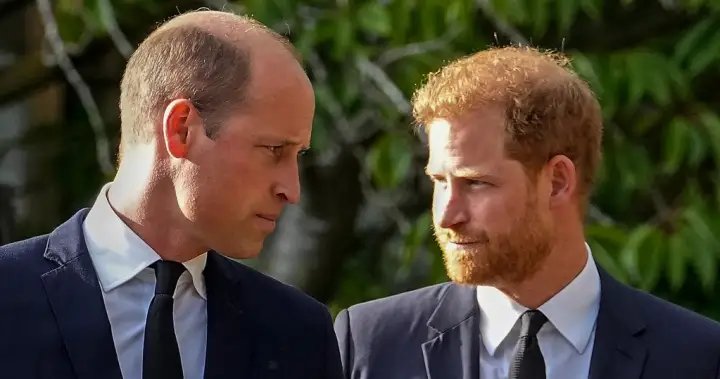 Prince Harry wants to reconcile a “complicated relationship” with his brother and patriotic father

 G trends